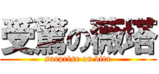 受驚の薇塔 (surprise on vita)