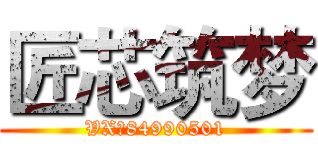 匠芯筑梦 (VX：84990501)