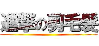 進撃の剪毛髮 ()