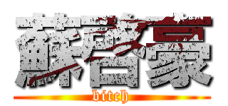 蘇啓豪 (bitch)
