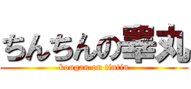 ちんちんの睾丸 (kougan on tintin)