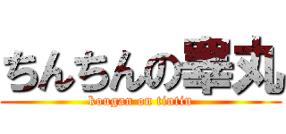 ちんちんの睾丸 (kougan on tintin)