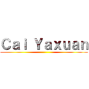 Ｃａｉ Ｙａｘｕａｎ ()