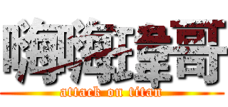 嗨嗨瑋哥 (attack on titan)