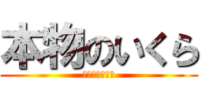 本物のいくら (キングサーモン)