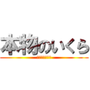 本物のいくら (キングサーモン)