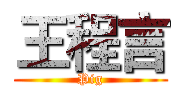 王程言 (Pig)
