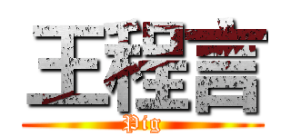 王程言 (Pig)