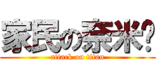 家民の奈米屌 (attack on titan)