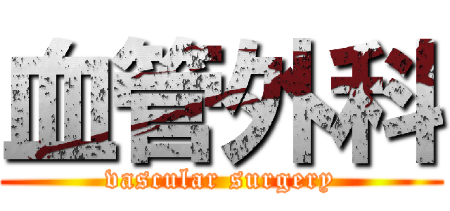 血管外科 (vascular surgery)
