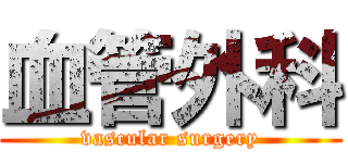 血管外科 (vascular surgery)