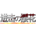进击の櫻花 (attack on titan)