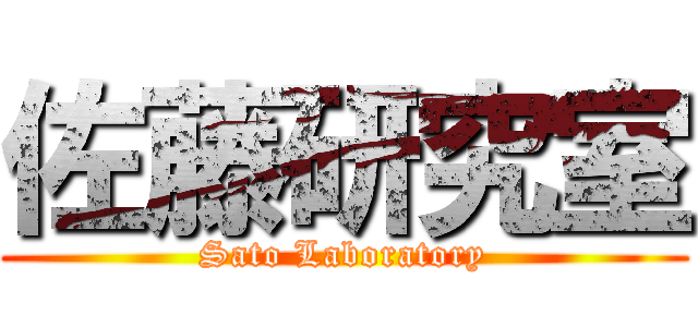 佐藤研究室 (Sato Laboratory)