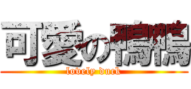 可愛の鴨鴨 (lovely duck)