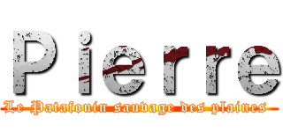 Ｐｉｅｒｒｅ (Le Patafouin sauvage des plaines )