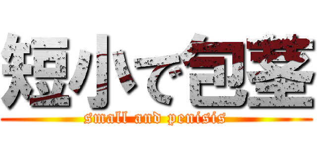 短小で包茎 (small and penisis)