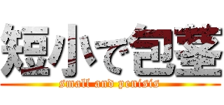 短小で包茎 (small and penisis)