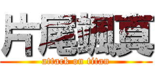 片尾颯真 (attack on titan)