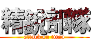 精銳部隊 (attack on titan)