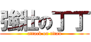 強壯の丁丁 (attack on titan)