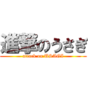 進撃のうさぎ (attack on USAGI)