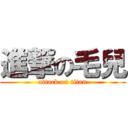 進撃の毛兒 (attack on titan)