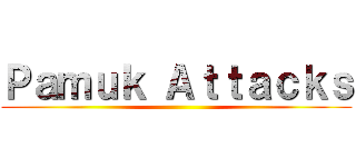 Ｐａｍｕｋ Ａｔｔａｃｋｓ ()