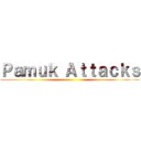 Ｐａｍｕｋ Ａｔｔａｃｋｓ ()