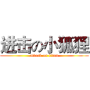 进击の小狐狸 (attack on titan)