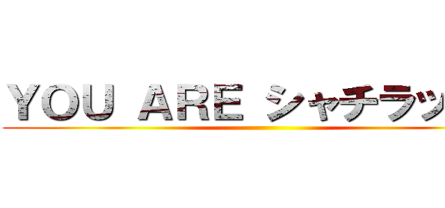 ＹＯＵ ＡＲＥ シャチラッチ？ ()