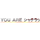 ＹＯＵ ＡＲＥ シャチラッチ？ ()