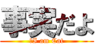 事実だよ (　I am Cat)