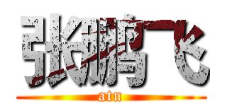 张鹏飞 (atn)
