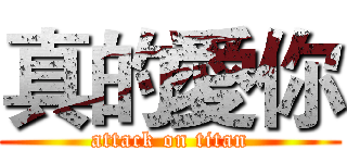 真的愛你 (attack on titan)