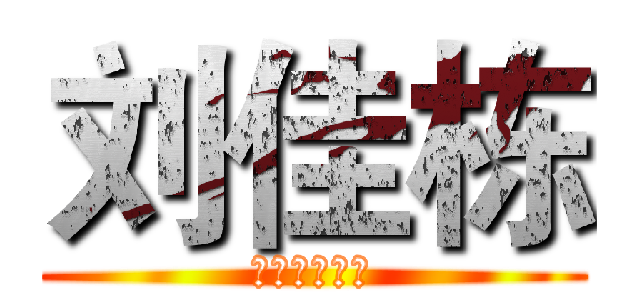 刘佳栋 (星级认证男模)