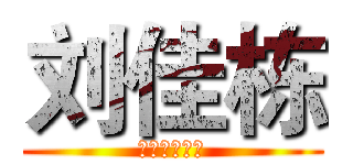 刘佳栋 (星级认证男模)