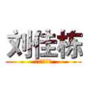 刘佳栋 (星级认证男模)