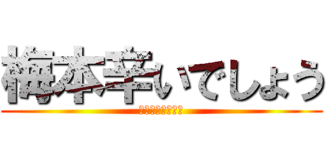 梅本辛いでしょう (胃がああああああ)