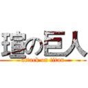 瑄の巨人 (attack on titan)