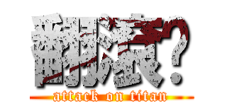 翻滾吧 (attack on titan)