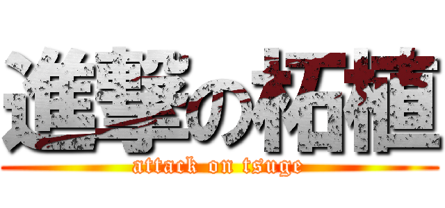 進撃の柘植 (attack on tsuge)