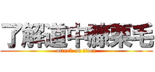 了解道中膝栗毛 (attack on titan)