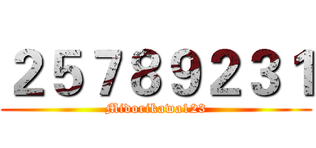 ２５７８９２３１ (Midorikawa123)