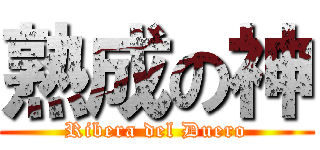 熟成の神 (Ribera del Duero)