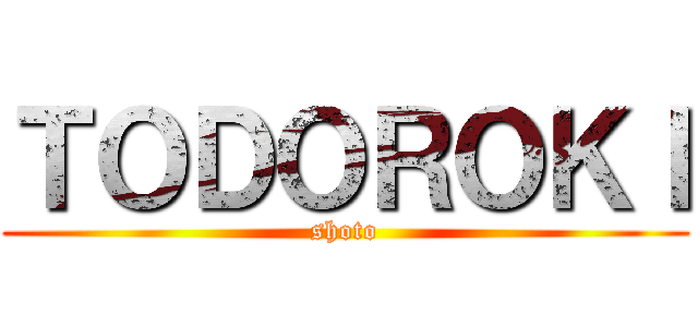 ＴＯＤＯＲＯＫＩ (shoto)
