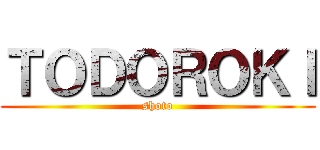 ＴＯＤＯＲＯＫＩ (shoto)