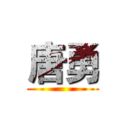 唐勇 ()