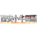 西安小牛田源 (telL:18729877492)