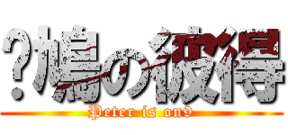 戆鳩の彼得 (Peter is on9)
