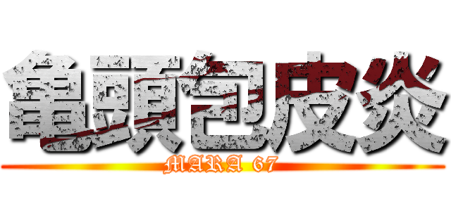 亀頭包皮炎 (MARA 67)